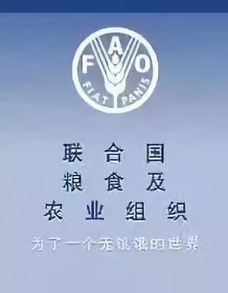 <font color='#339900'>细数白油国际标准</font>