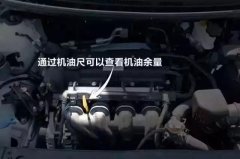 <font color='#FF0000'>机油尺你真的会看吗?</font>